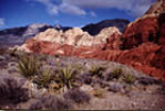 Red Rock