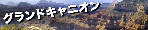 ようこそラスベガス　ツアーとショー予約＼