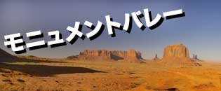 ようこそラスベガス　ツアーとショー予約＼