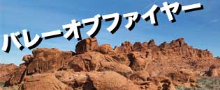 ようこそラスベガス　ツアーとショー予約＼