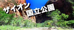 ようこそラスベガス　ツアーとショー予約＼